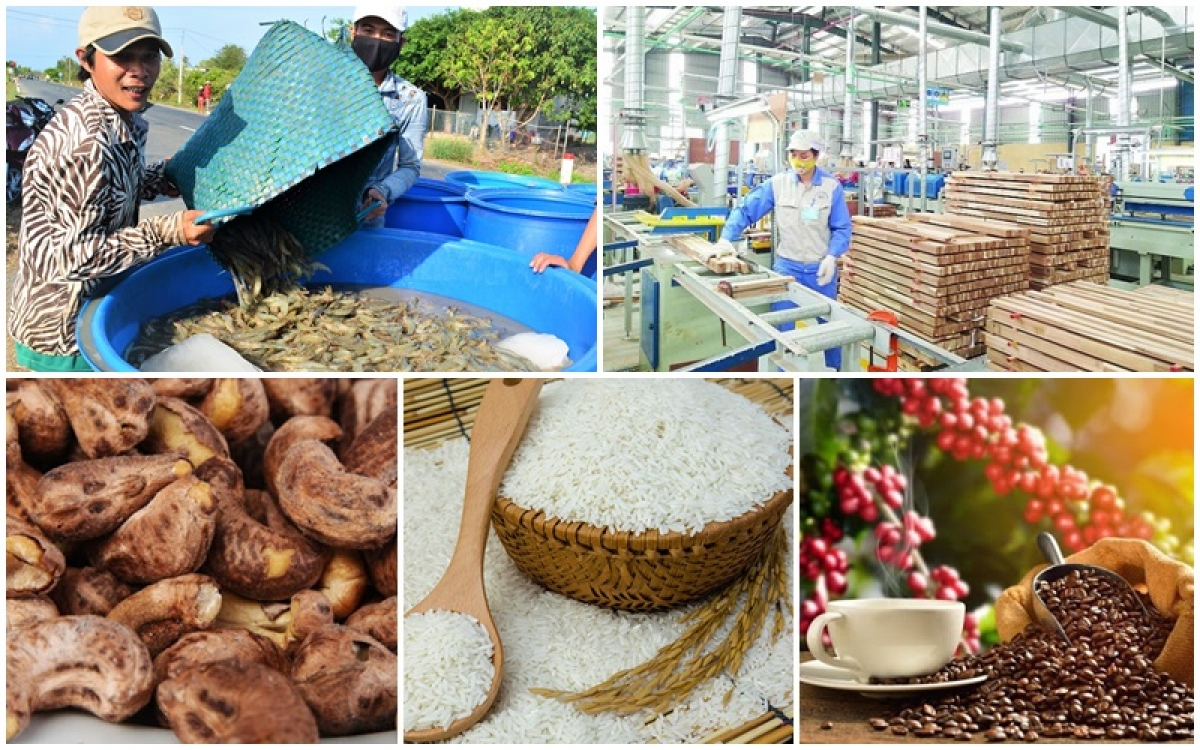 Tăng “chất” cho xuất khẩu bền vững hơn 